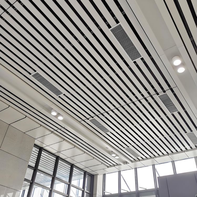 s-strip ceiling (4)