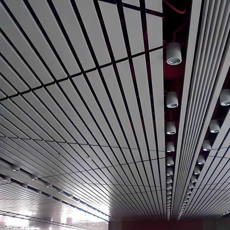 s-strip ceiling (5)