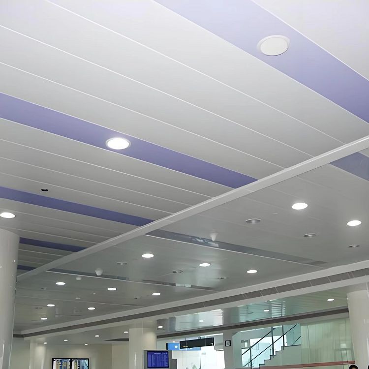 s-strip ceiling 2 s-strip ceiling 2